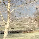 In With Forest Nyaraló Gedinne