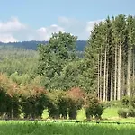 In With Forest *
