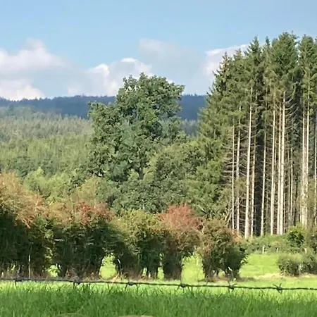 In With Forest *